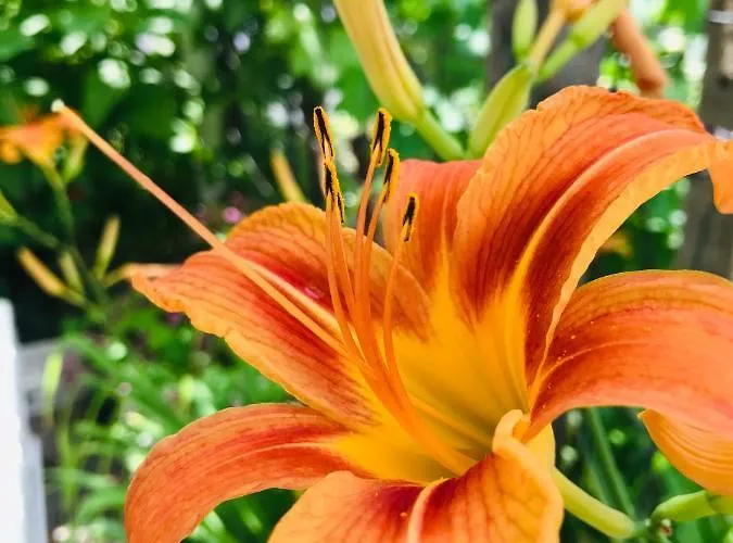 къща наде Ferienhaus